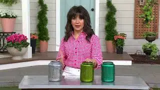 Ultimate Innovations Decorative Hummingbird Solar Lantern on QVC