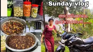 അവധിക്കാലം ഉഷാറാക്കാൻ #നെല്ലിക്ക #carrot #achar #chickencurry @kicthen updates byjish