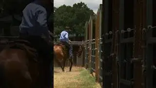 Use rest to your advantage when training your horse #applythemethod
