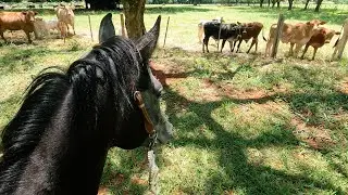 passeando pelo rancho - pt2 - com Vitor Peron