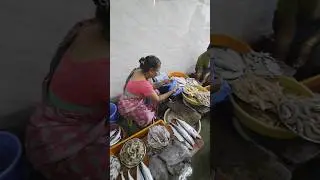 कणकवली रविवार च्या बाजारातले  माशे Mini Vlog 13 #kokan #kankavli #minivlog #sunday