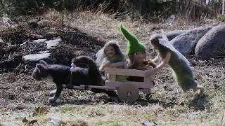 Asikkalan puiset rattaat