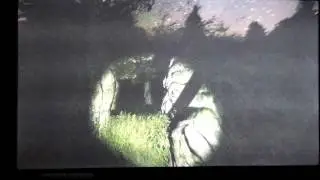 RAPE GORILLA: White noise indie game
