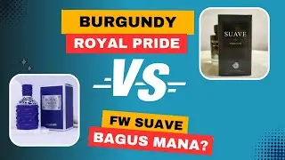 Parfum Burgundy Royal Pride VS Suave SOLVED PERFUME