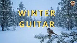 Cozy Winter Guitar + Birds | 3 Hours Relaxing Snow Ambience (No Lyrics)