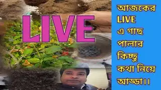 আজকের  LIVE এ গাছ পালার কিচ্ছু  কথা নিয়ে আড্ডা।।