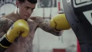 Introducing Pro Mex V2.0 - TITLE Boxing - New Professional Bag Gloves