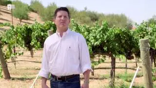 Discover California Wines: Mendocino
