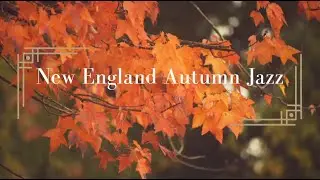 New England Autumn Jazz |  Relaxing Fall Ambience | For Meditation, Study, and Sleep