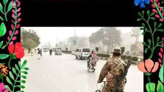 Pak foje