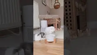 How to Care for Your Rabbits Pt1 | Housing | Rabbit Hutch | Rabbit Enclosure | Rabbit Space | Pets