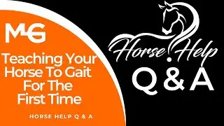 Teaching Your Horse Gaiting For The First Time | The Horse Guru | Horse Talk Live