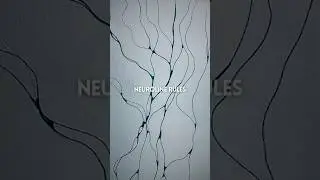 This Drawing Lines Trick Will Surprise Your Brain!