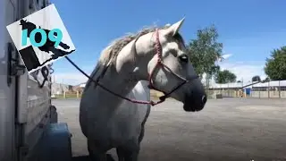 Barrel Racer Life - Jada's New Personal Best