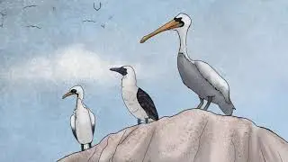 Historias del Bicentenario | El guano de las aves peruanas | &iexcl;As&iacute; es mi Per&uacute;!