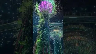 Singapore supertree #shorts