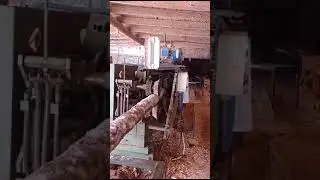 Фрезерно-пильный многопильный станок Термит 150Е-6 продаю, +79229675566