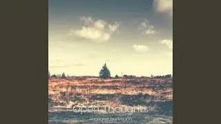 Open Thoughts