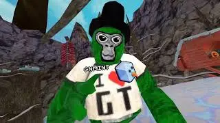 Playing gtag shoutout to gn clover and not chef hat vr