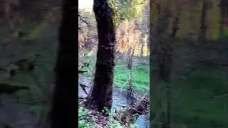 #camaswa #vancouverwashington #musica #song #80smusic #gravesite #musicgenre #catacomb #gravestone