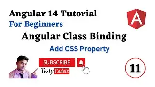 Angular 14 Tutorial for beginners, Class Binding in Angular, Add CSS Property in Angular Testycodeiz