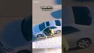 Real life GTA police chase