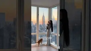 help me decorate my NYC apartment!!  part 3 🗽🚕🏙️ #nyc #hometour