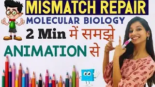 MISMATCH REPAIR|Molecular Biology|Animation|Learn in two minutes|