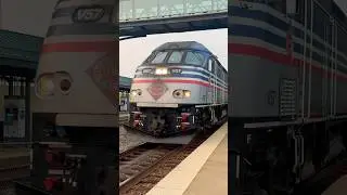 HONK HONK #trainhorn #trains #virginia #railway #express #amtrak #shorts #youtubeshorts #usa