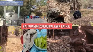 Pune MV3 Rajiv Gandhi Zoological Park #pune #zoo #animal #family 