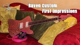Sully Raven Custom - First Impressions (english)