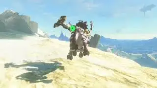 Lore accurate Link vs Silver Lynel
