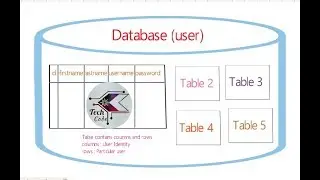 How database stores the user data ?