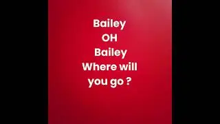 Bailey Oh Bailey (Large screen)