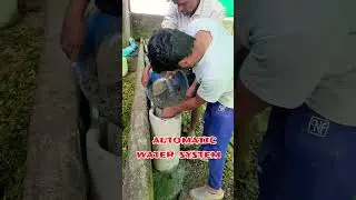 dairy farm automatic water system || short video|| # #dairyfarmvlog #farming #cow