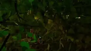 Another win in fortnight
