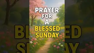 Special Prayer For A Blessed Sunday 🙏 #blessings #sundayprayer #shorts