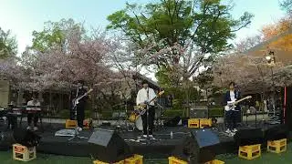 Mrs. GREEN APPLE/関大軽音I部 - ゲリラライブ2023