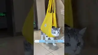 Pet carrier bag, link is on bio #cat #petkit #petsupplies