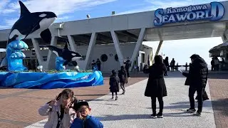 2025/12/31 鴨川シーワールド　シャチショー