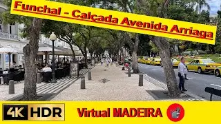 MADEIRA - Funchal - Cal&ccedil;ada Avenida Arriaga - Static camera - 💢4K ASMR #virtualmadeira