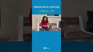 Hebrew Word of the Day: Chatool (Cat)