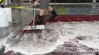 Squeegeeing a handmade oriental wool rug! ASMR, Satisfying content, rug cleaning in Atlanta ga #atl