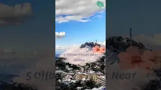 5 Off Beat Places To Visit In Shimla #hiddengemshimachal #himachalpradesh #shimla