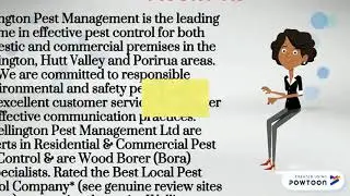 Searching for Ant Control Service in Wellington