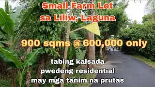 (P# 774) 900 sqms Small Cut farm Lot @ 600,000 only in Liliw, Laguna for sale