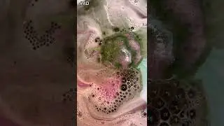 #AD Black Rose BathBomb #friendsoflush #lushcosmetics #lushuk #blackrose @LUSH