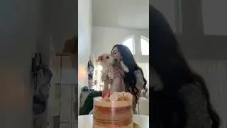 DOG MOM WITH SEPARATION ANXIETY #funnyvideo #funnydogs #separationanxiety #meme