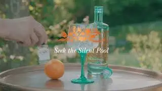 Silent Pool Gin: G&T with Liquid Garnish Mist