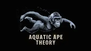 Aquatic Ape Theory